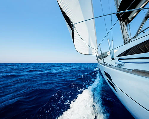 .cruises