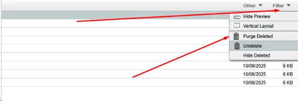 Διαγραφή email στο Horde webmail